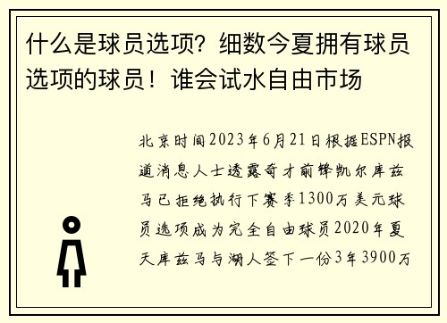 什么是球员选项？细数今夏拥有球员选项的球员！谁会试水自由市场